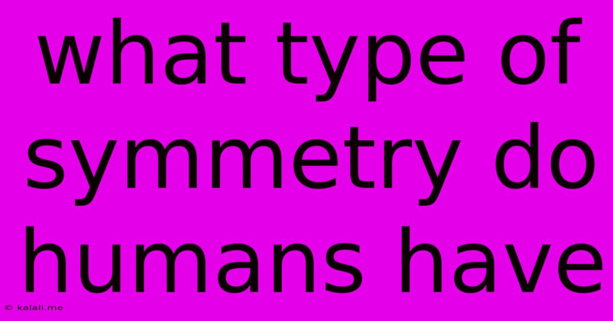 What Type Of Symmetry Do Humans Have