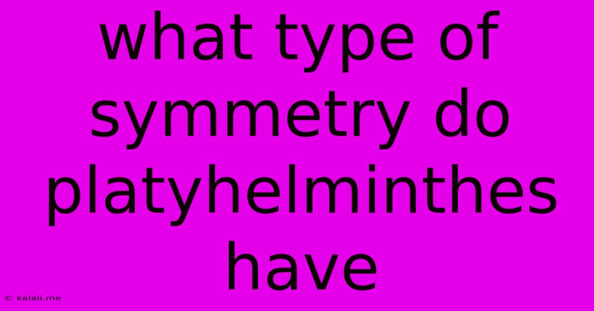 What Type Of Symmetry Do Platyhelminthes Have