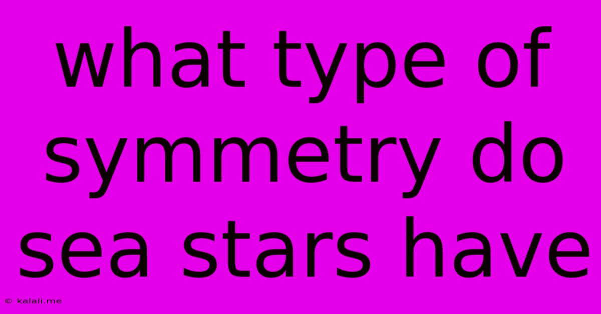 What Type Of Symmetry Do Sea Stars Have
