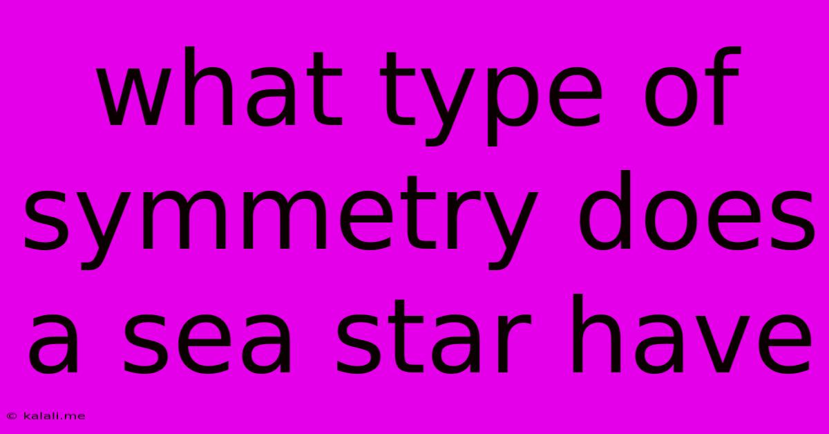 What Type Of Symmetry Does A Sea Star Have