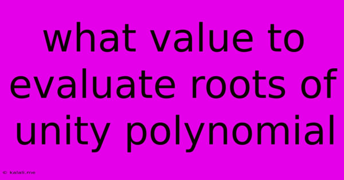What Value To Evaluate Roots Of Unity Polynomial