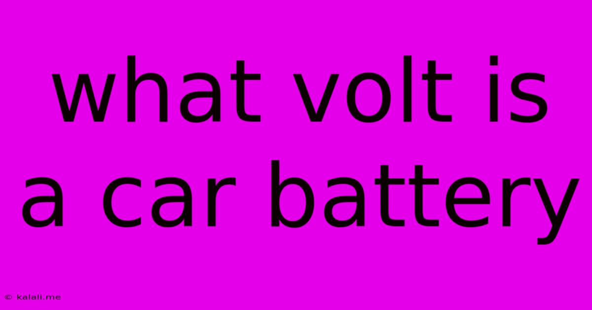 What Volt Is A Car Battery