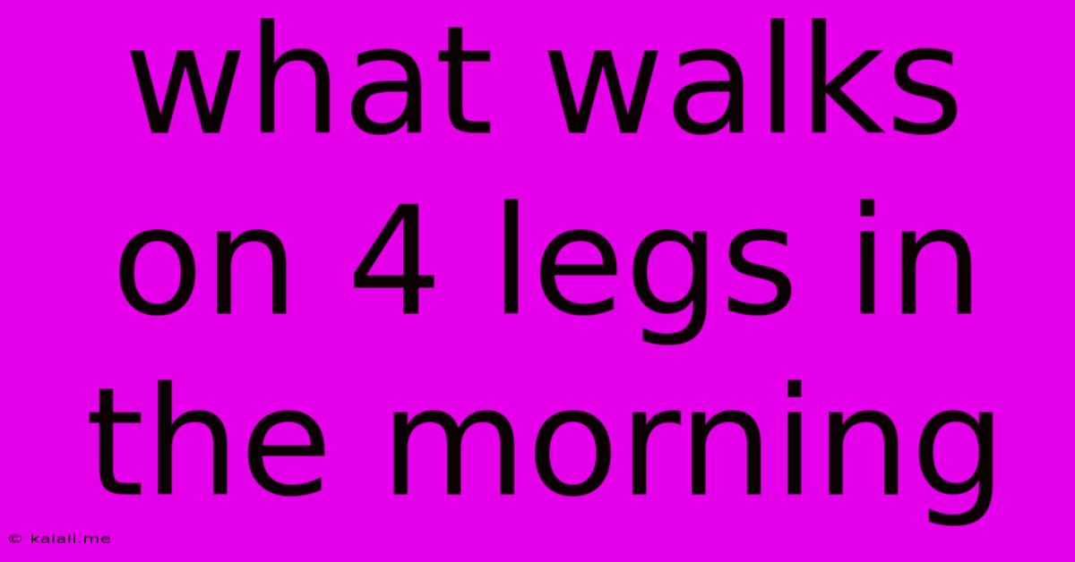 What Walks On 4 Legs In The Morning