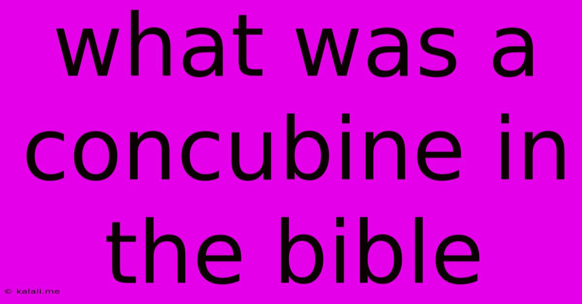 What Was A Concubine In The Bible