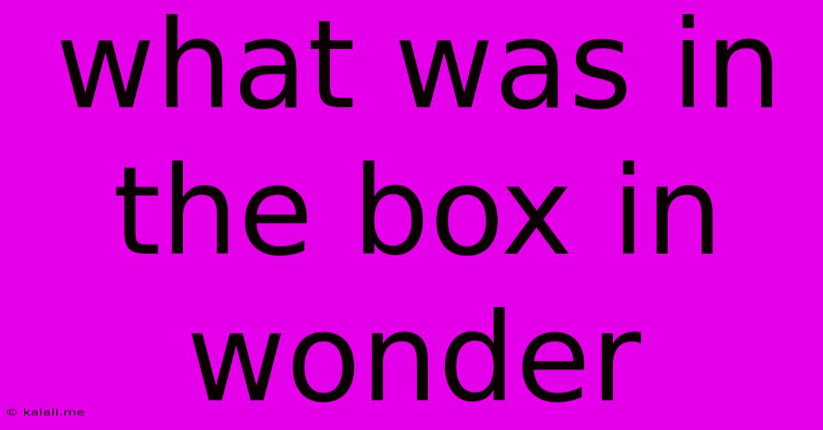 What Was In The Box In Wonder