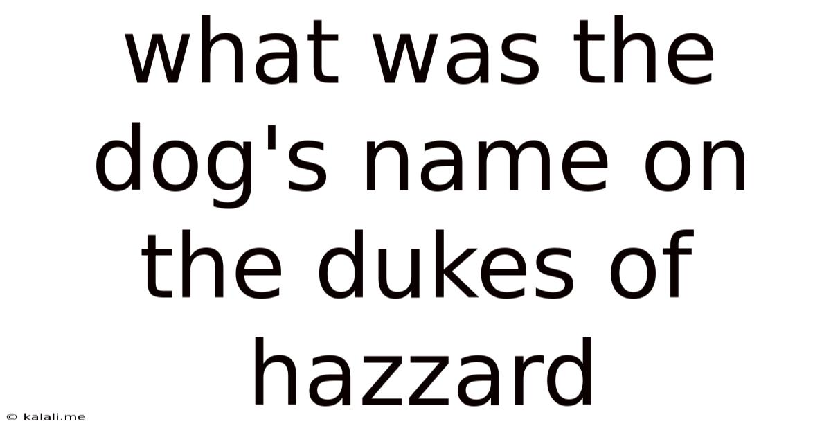 What Was The Dog's Name On The Dukes Of Hazzard
