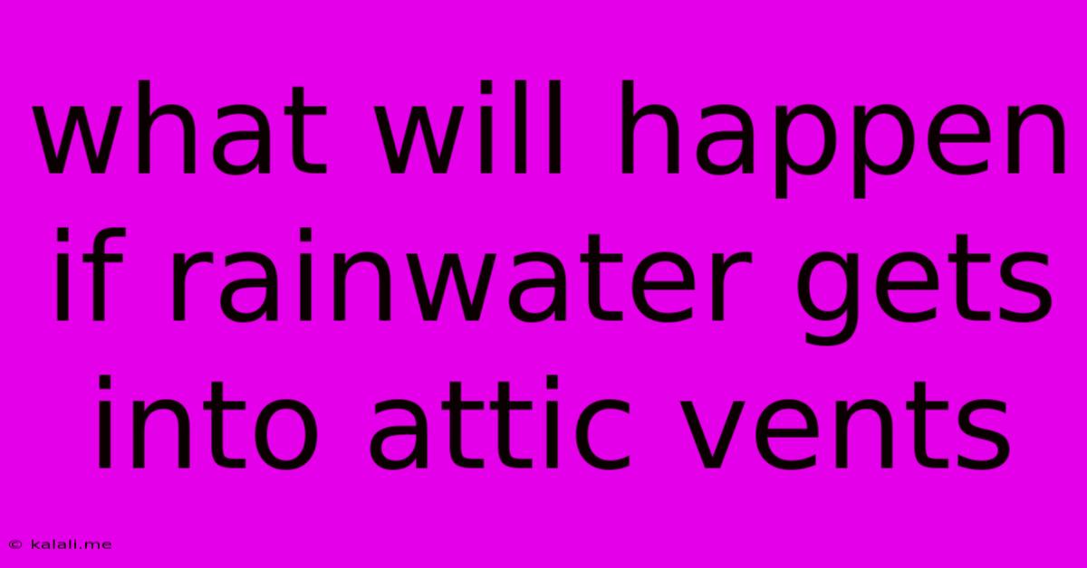 What Will Happen If Rainwater Gets Into Attic Vents