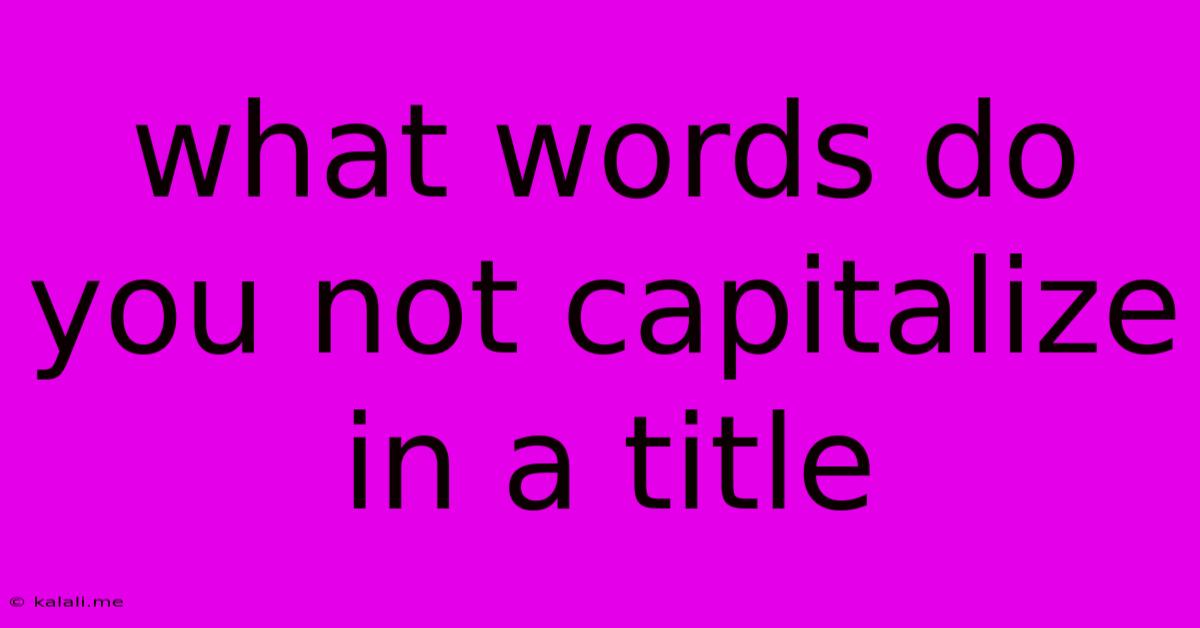 What Words Do You Not Capitalize In A Title