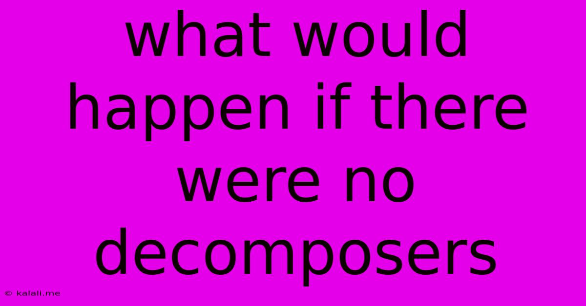 What Would Happen If There Were No Decomposers