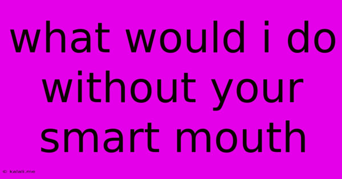 What Would I Do Without Your Smart Mouth
