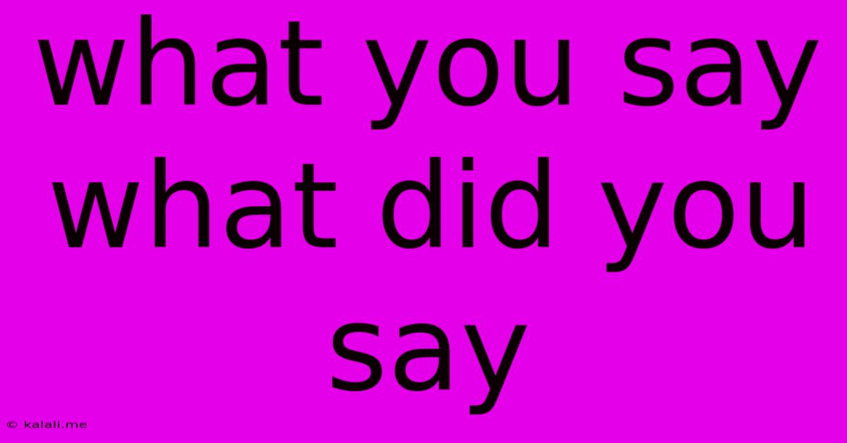 What You Say What Did You Say
