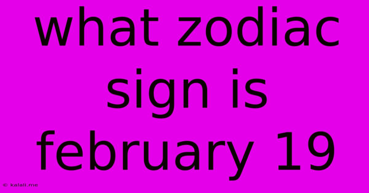 What Zodiac Sign Is February 19