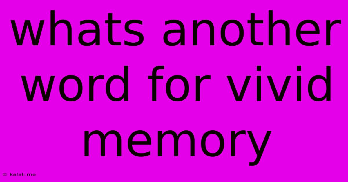 Whats Another Word For Vivid Memory
