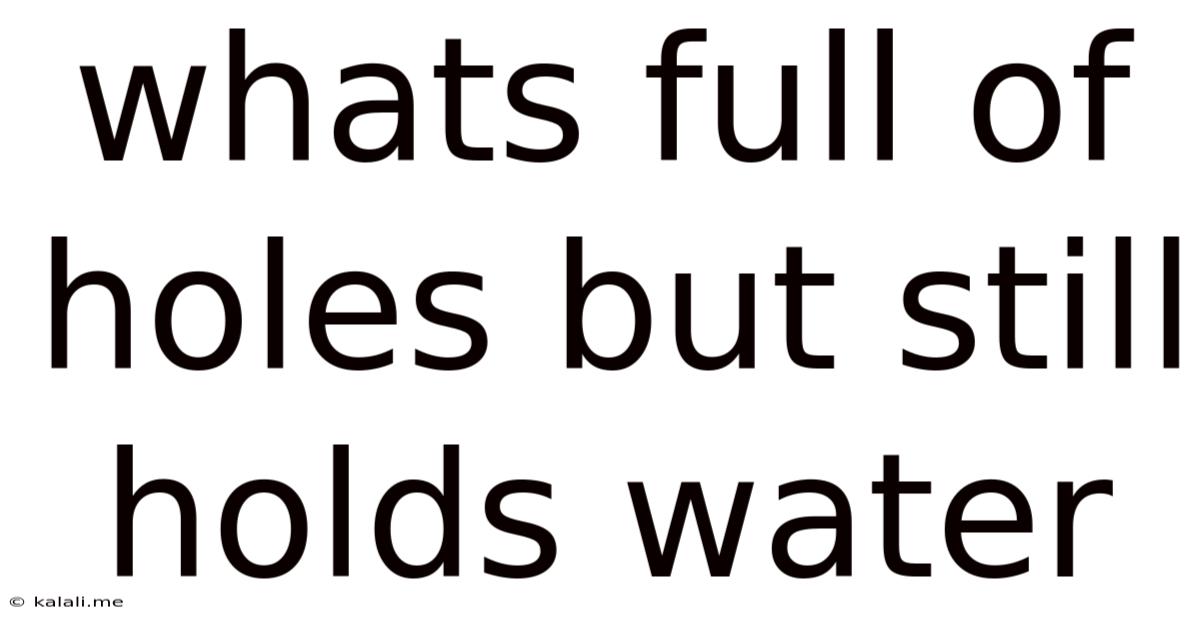 Whats Full Of Holes But Still Holds Water