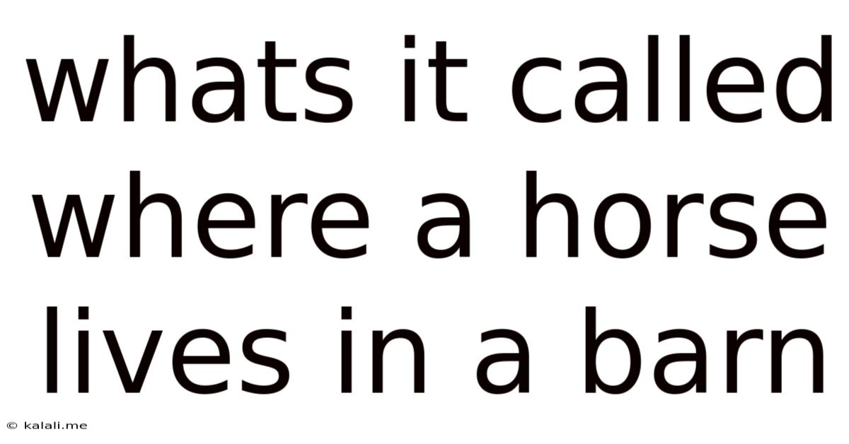 Whats It Called Where A Horse Lives In A Barn