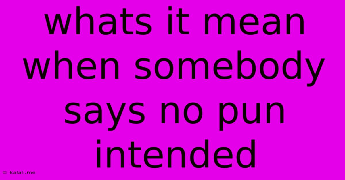 Whats It Mean When Somebody Says No Pun Intended