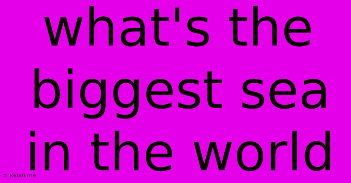 What's The Biggest Sea In The World