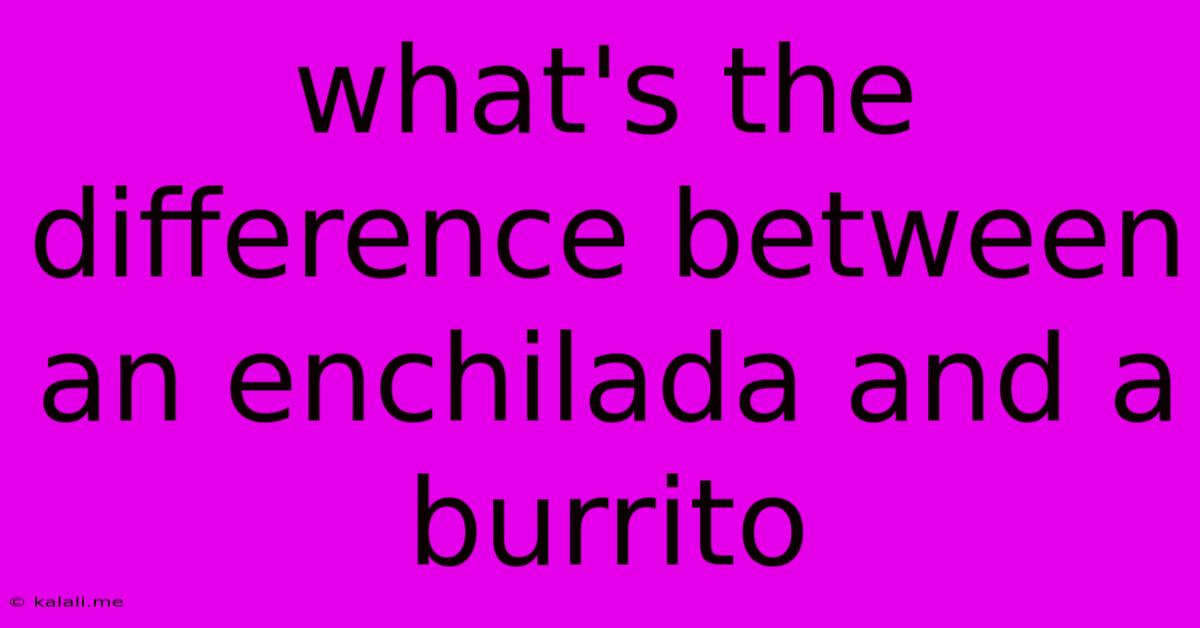 What's The Difference Between An Enchilada And A Burrito