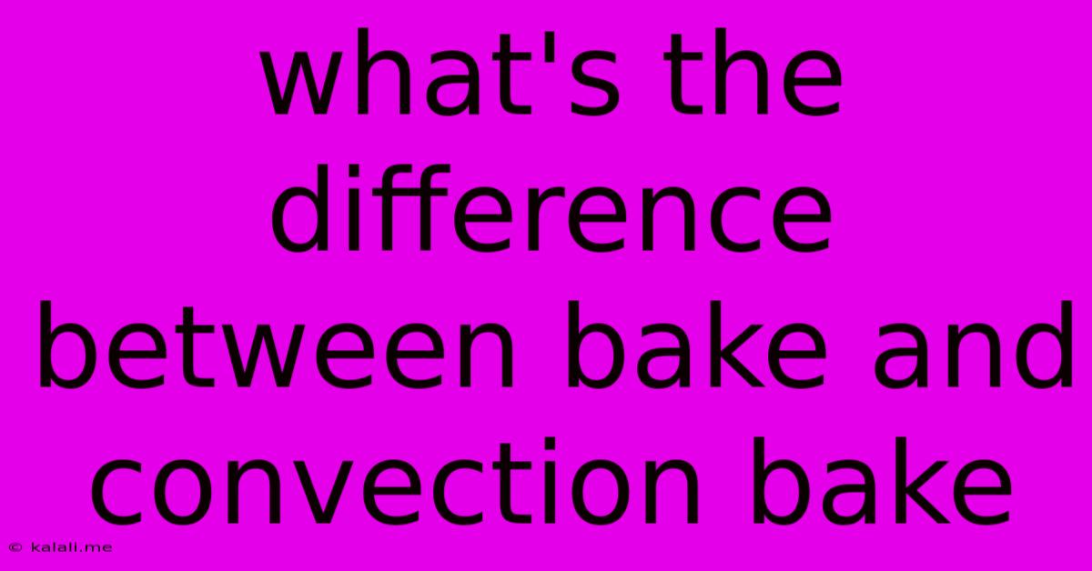What's The Difference Between Bake And Convection Bake