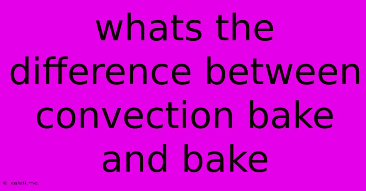 Whats The Difference Between Convection Bake And Bake
