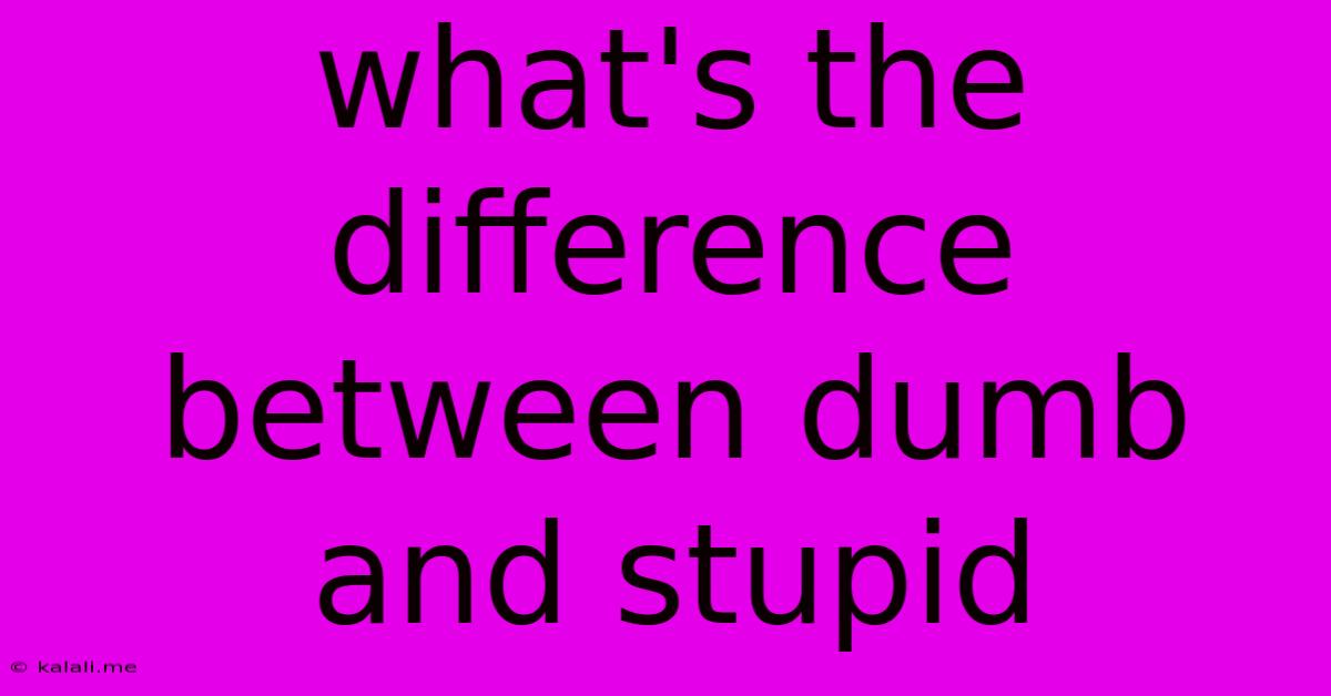 What's The Difference Between Dumb And Stupid