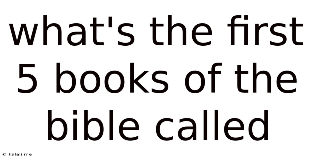 What's The First 5 Books Of The Bible Called