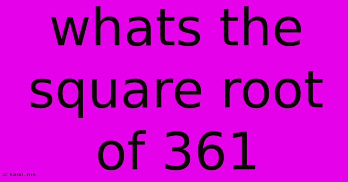 Whats The Square Root Of 361