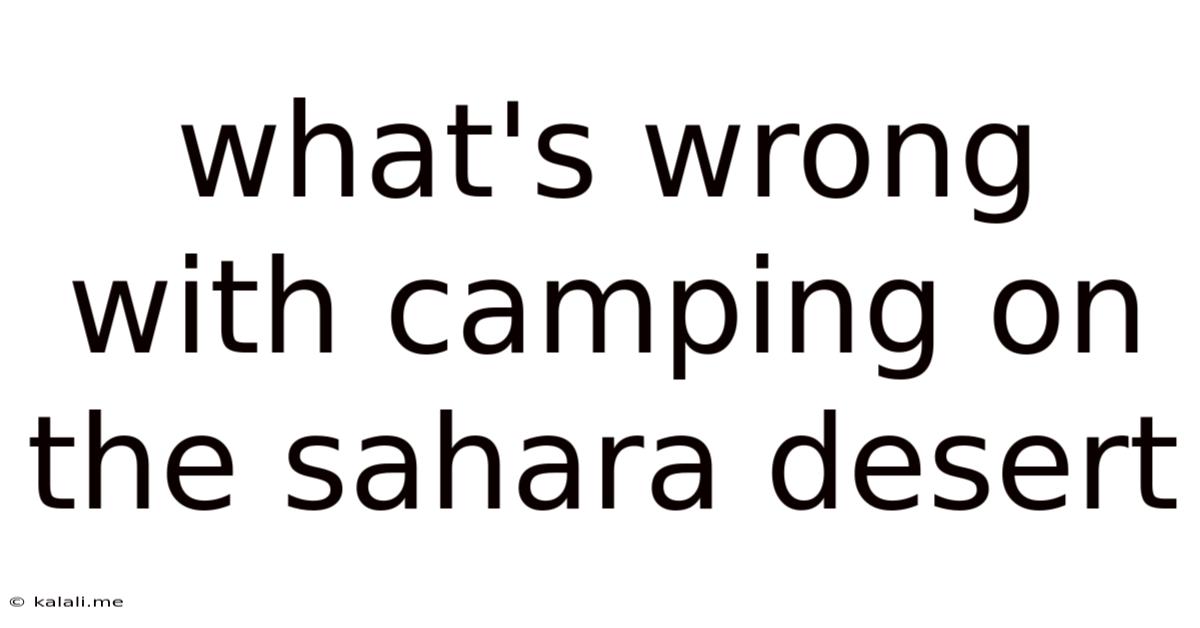 What's Wrong With Camping On The Sahara Desert
