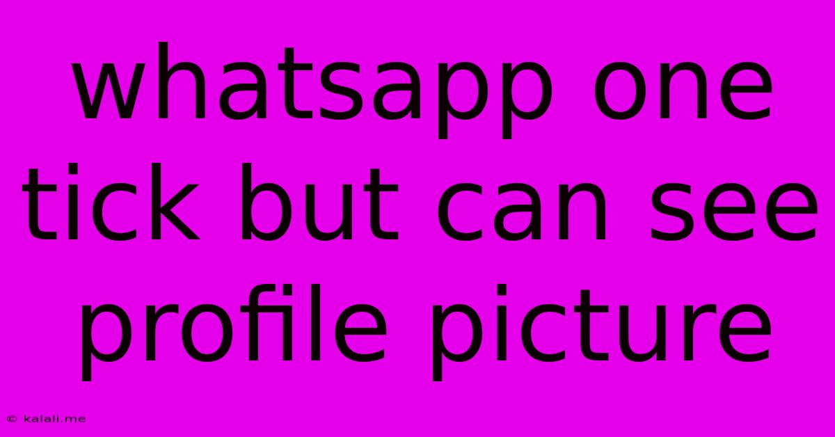 Whatsapp One Tick But Can See Profile Picture