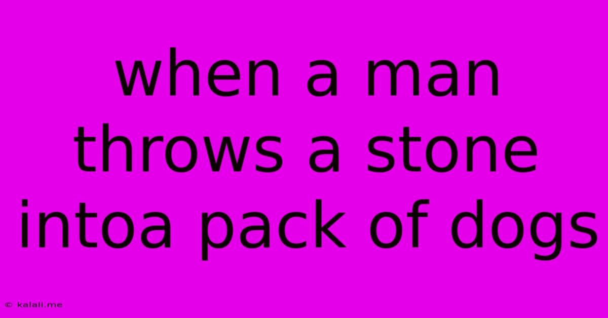 When A Man Throws A Stone Intoa Pack Of Dogs