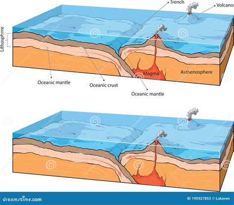 When An Oceanic And A Continental Plate Collide