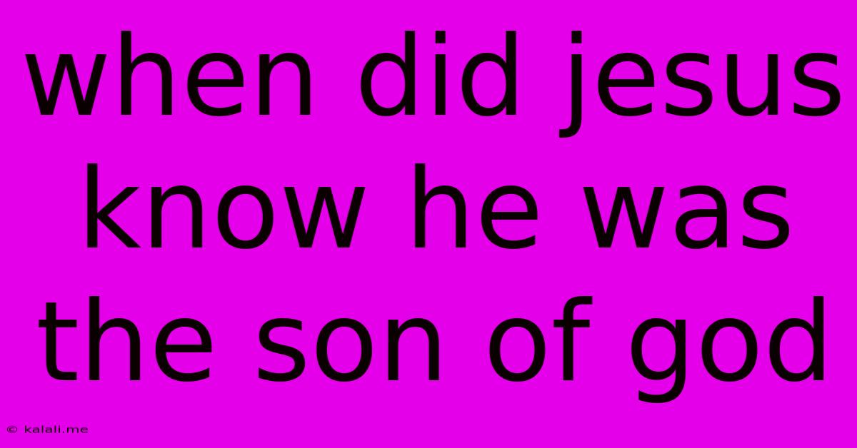 When Did Jesus Know He Was The Son Of God