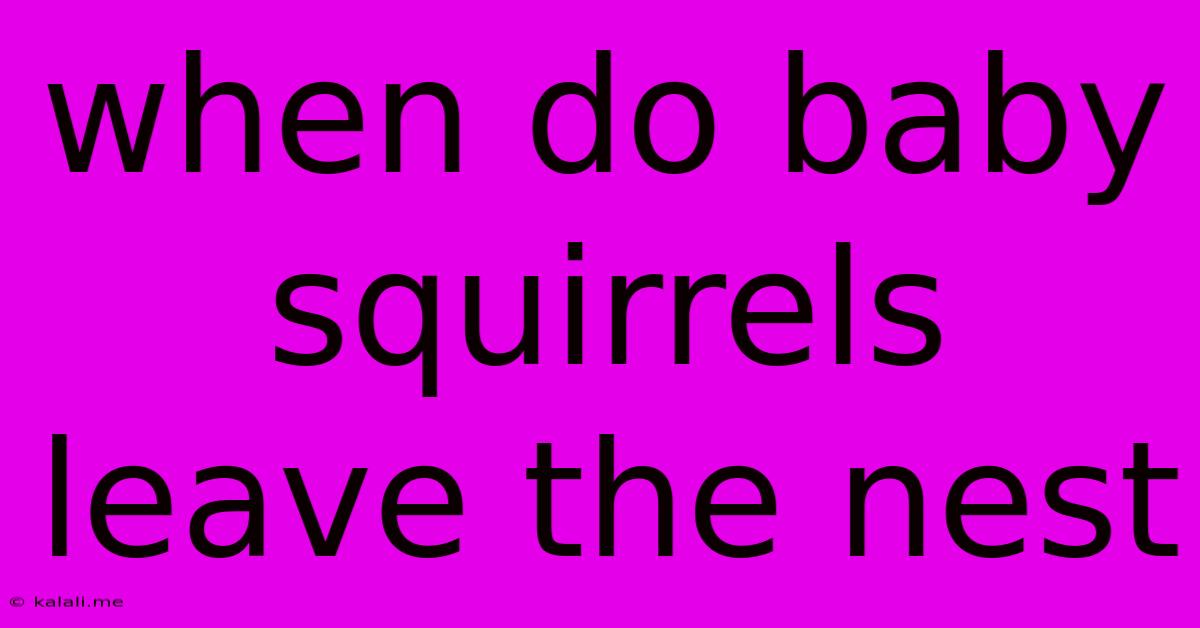 When Do Baby Squirrels Leave The Nest