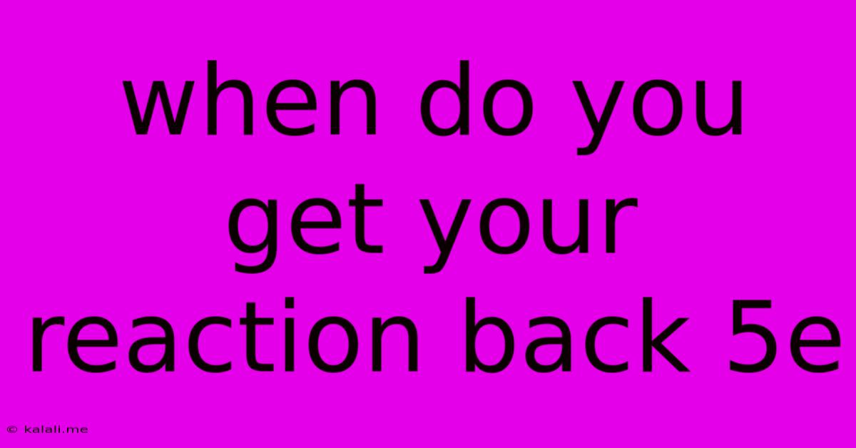 When Do You Get Your Reaction Back 5e