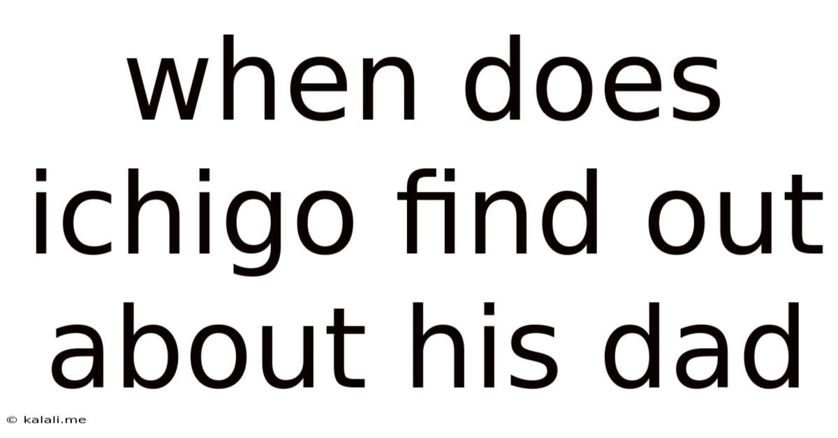 When Does Ichigo Find Out About His Dad