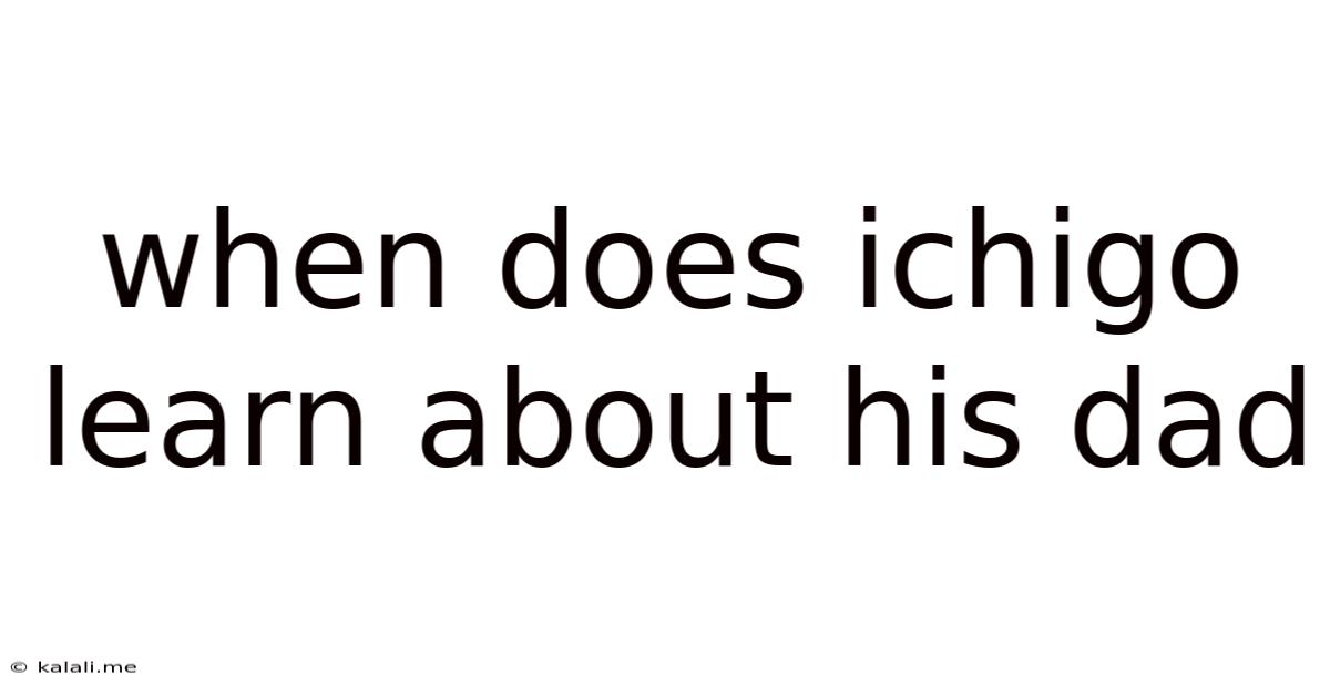 When Does Ichigo Learn About His Dad