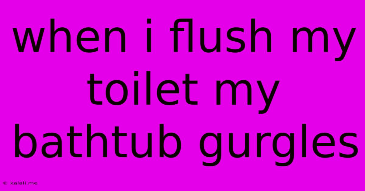 When I Flush My Toilet My Bathtub Gurgles