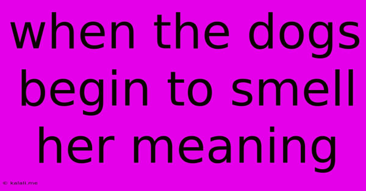 When The Dogs Begin To Smell Her Meaning