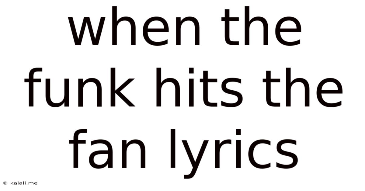 When The Funk Hits The Fan Lyrics