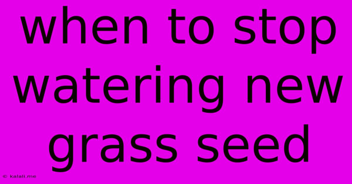 When To Stop Watering New Grass Seed