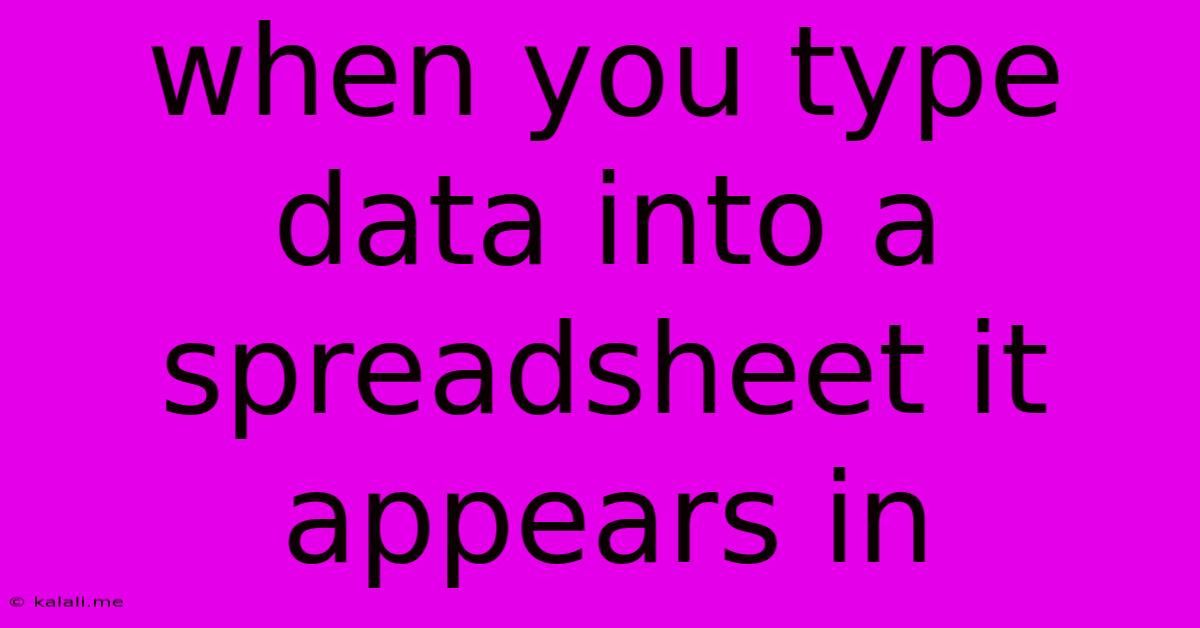 When You Type Data Into A Spreadsheet It Appears In