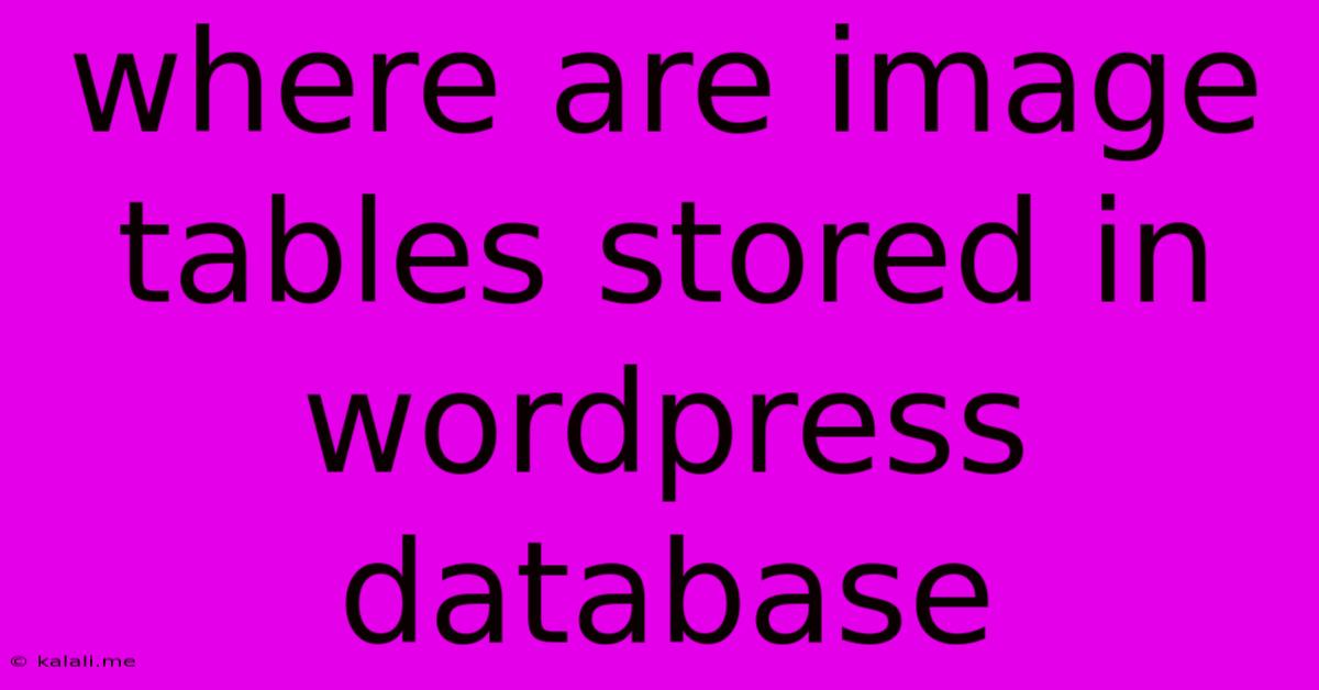 Where Are Image Tables Stored In Wordpress Database
