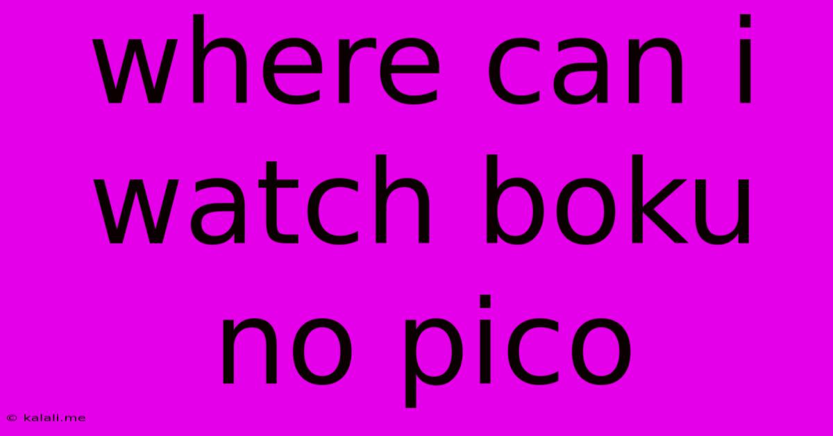 Where Can I Watch Boku No Pico