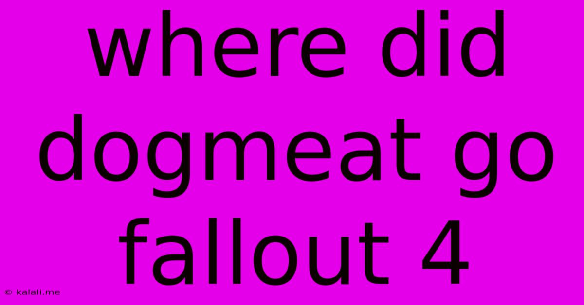 Where Did Dogmeat Go Fallout 4