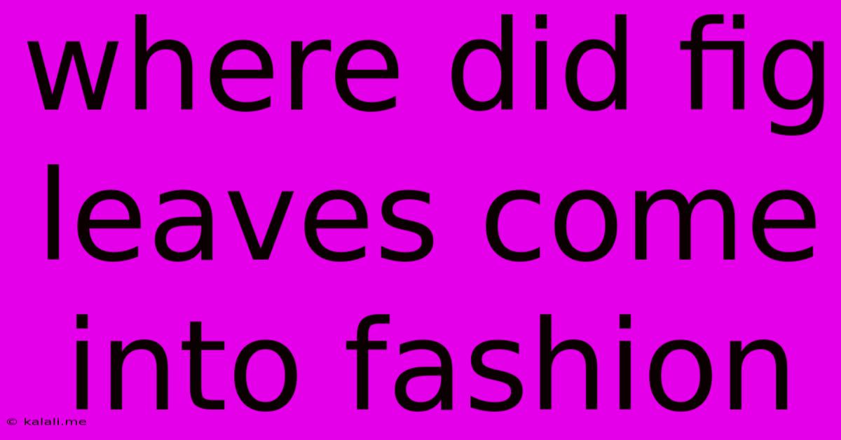 Where Did Fig Leaves Come Into Fashion