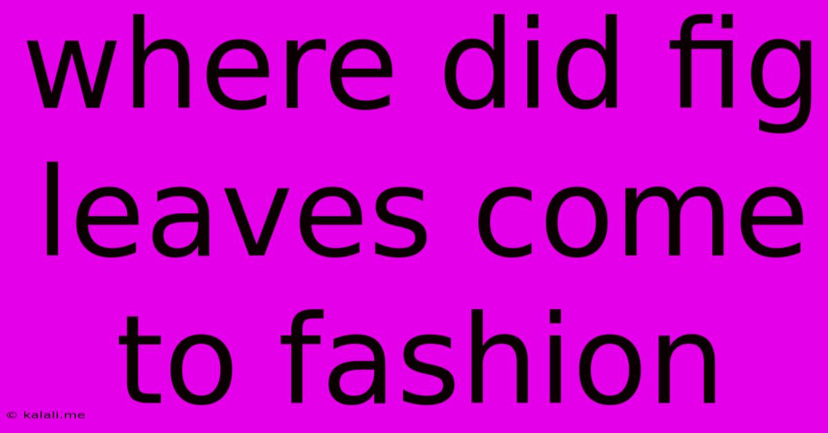 Where Did Fig Leaves Come To Fashion