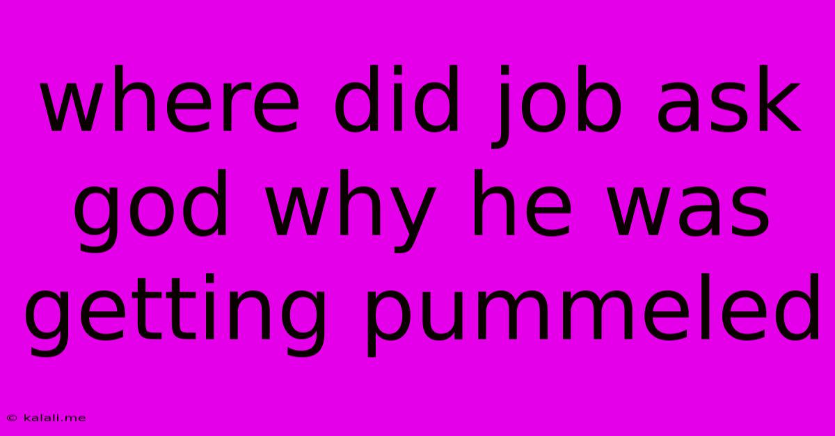 Where Did Job Ask God Why He Was Getting Pummeled