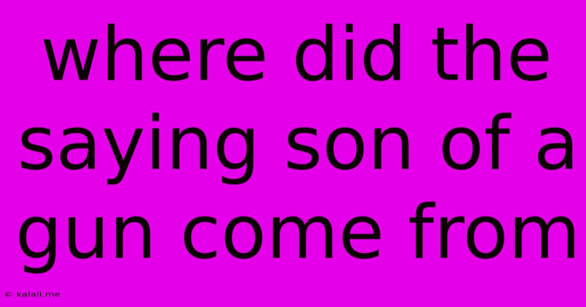Where Did The Saying Son Of A Gun Come From
