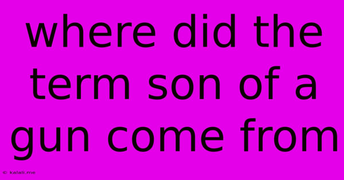 Where Did The Term Son Of A Gun Come From