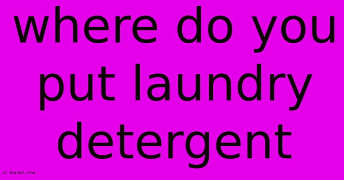 Where Do You Put Laundry Detergent
